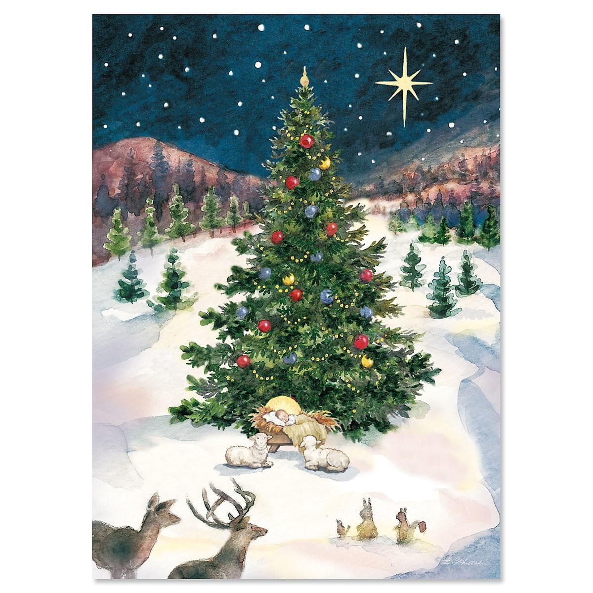 Boxed Christian Merry Christmas Tree & Manger Cards Set of 18
