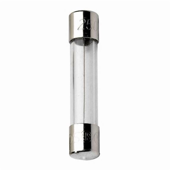 Glass Fuse, 6A, 200A at 250VAC, 10kA at 125VAC, 5 PK GGC6