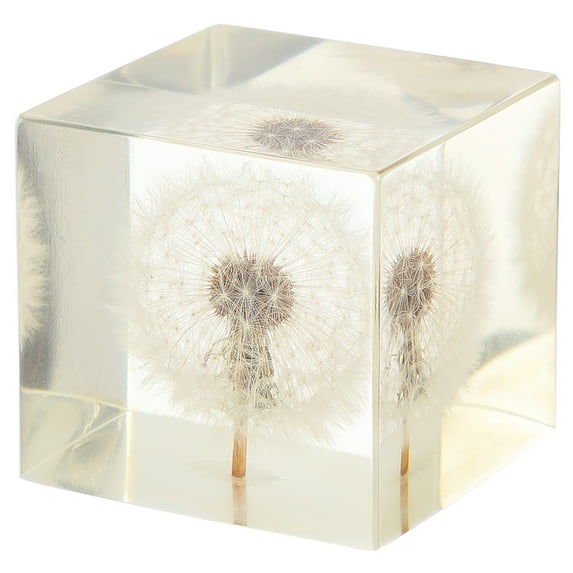 LOLIPPYY Office Tabletop Decoration Dandelion Cube Resin 1Set present