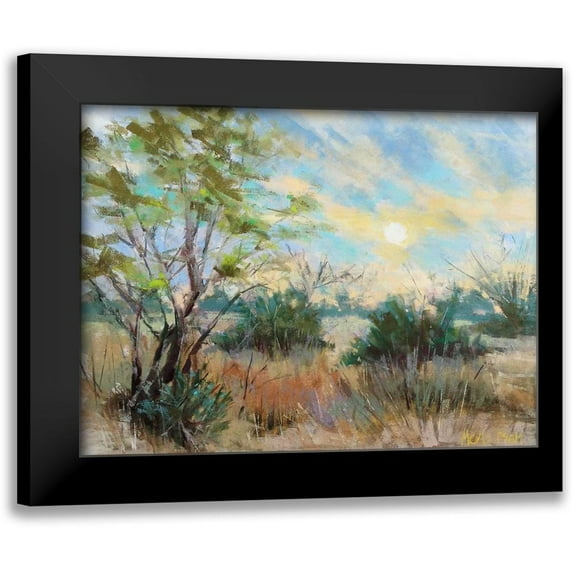 Mertz, Nancie King 18x15 Black Modern Framed Museum Art Print Titled - Texas Sunrise