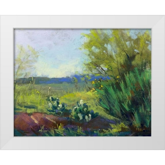 Mertz, Nancie King 18x15 White Modern Wood Framed Museum Art Print Titled - Above San Angelo