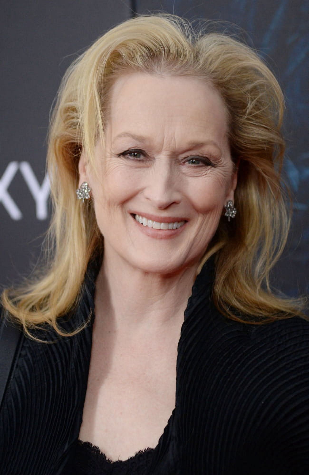 Meryl Streep At Arrivals For Into The Woods World Premiere Canvas Art - (16 x 20)