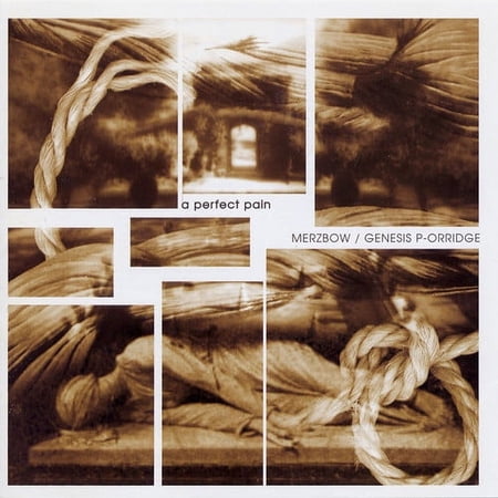 Merzbow / Genesis Breyer P-Orridge - A Perfect Pain - Music & Performance - CD