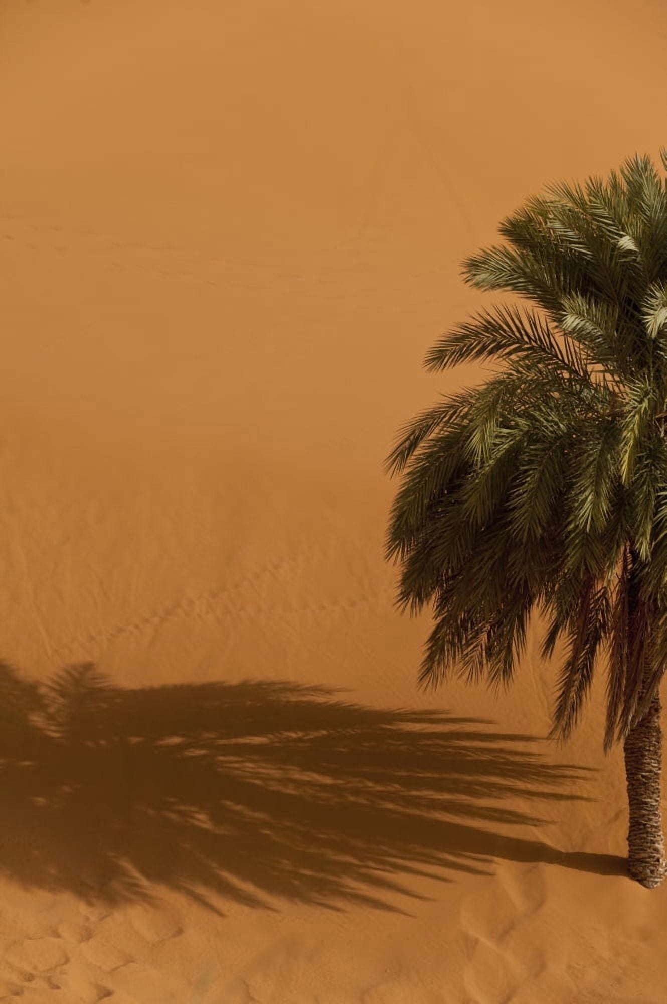Merzouga Morocco Canvas Art - Ian Cumming Design Pics (12 x 19)