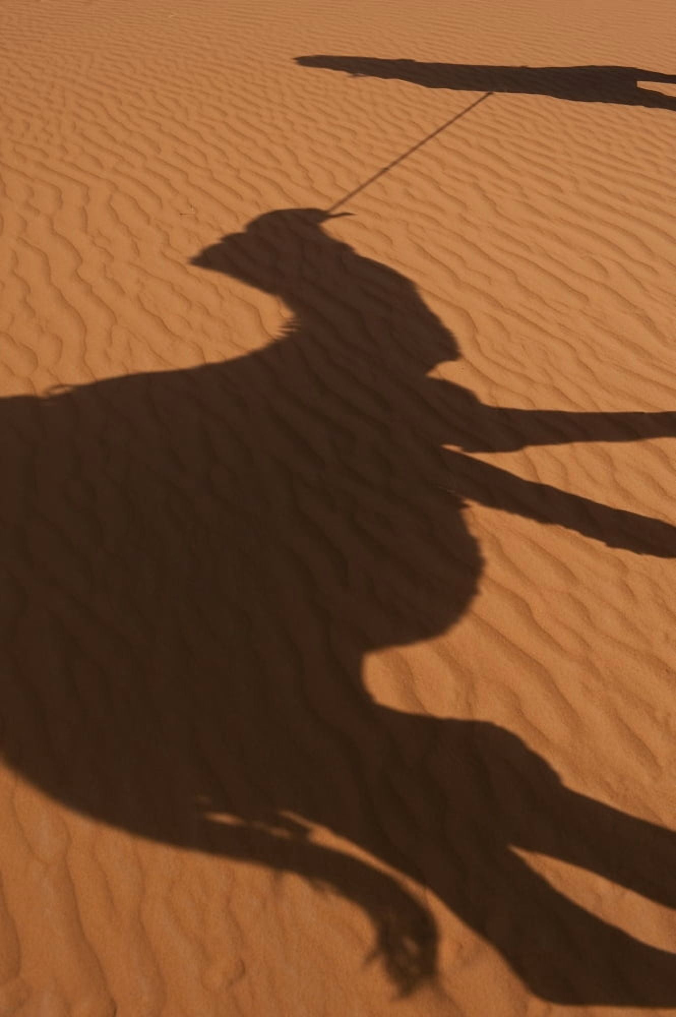 Merzouga Morocco Canvas Art - Ian Cumming Design Pics (12 x 19)