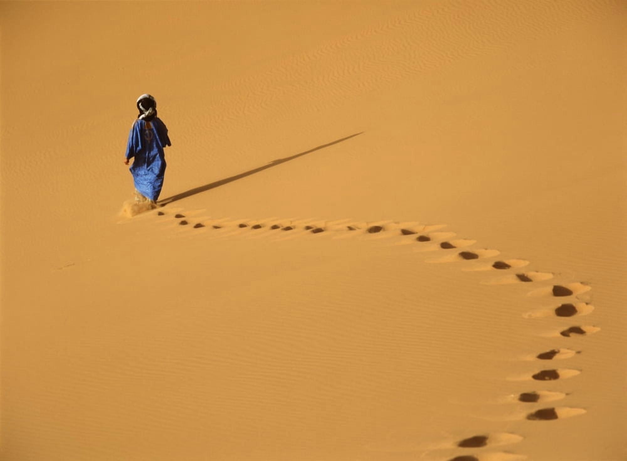 Merzouga Morocco Canvas Art - Ian Cumming Design Pics (18 x 13)