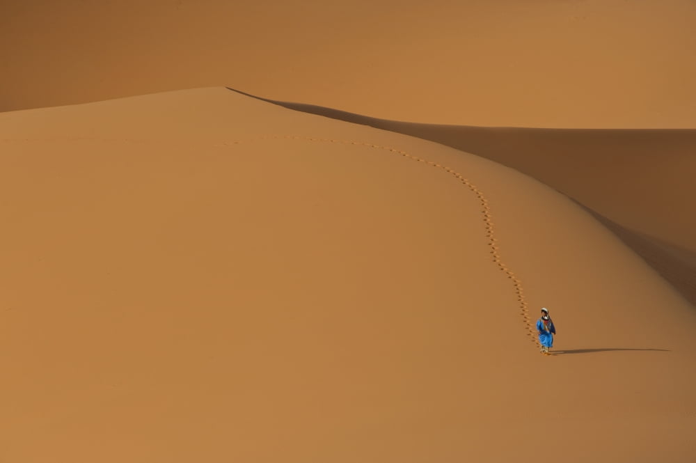 Merzouga Morocco Canvas Art - Ian Cumming Design Pics (19 x 12)