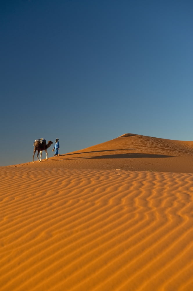 Merzouga Morocco Canvas Art - Ian Cumming Design Pics (24 x 38)