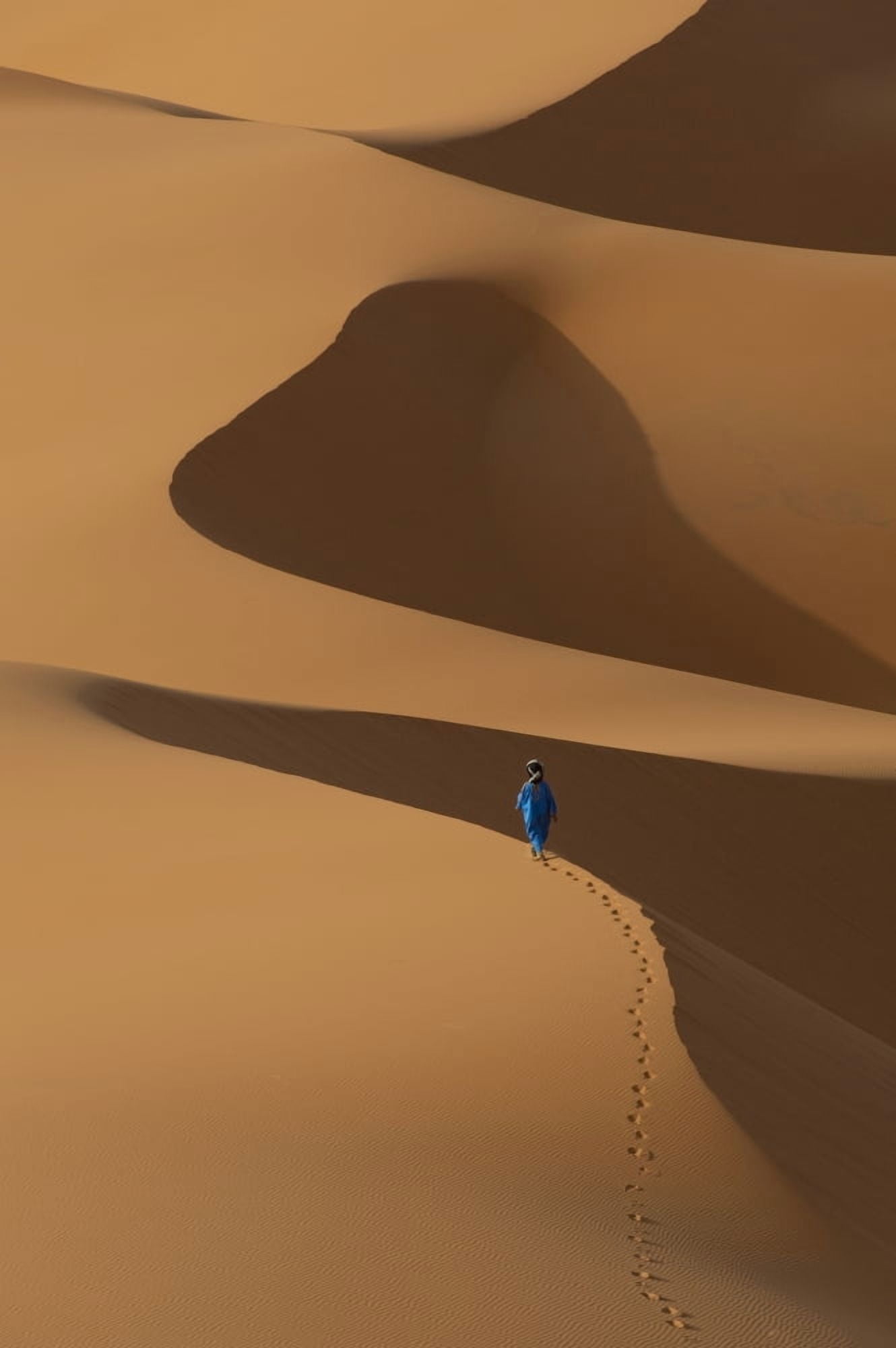 Merzouga Morocco Canvas Art - Ian Cumming Design Pics (24 x 38)