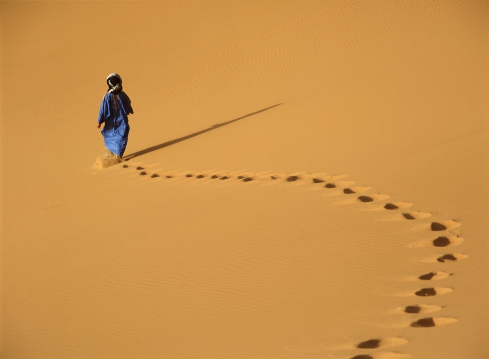 Merzouga Morocco Canvas Art - Ian Cumming Design Pics (36 x 26)