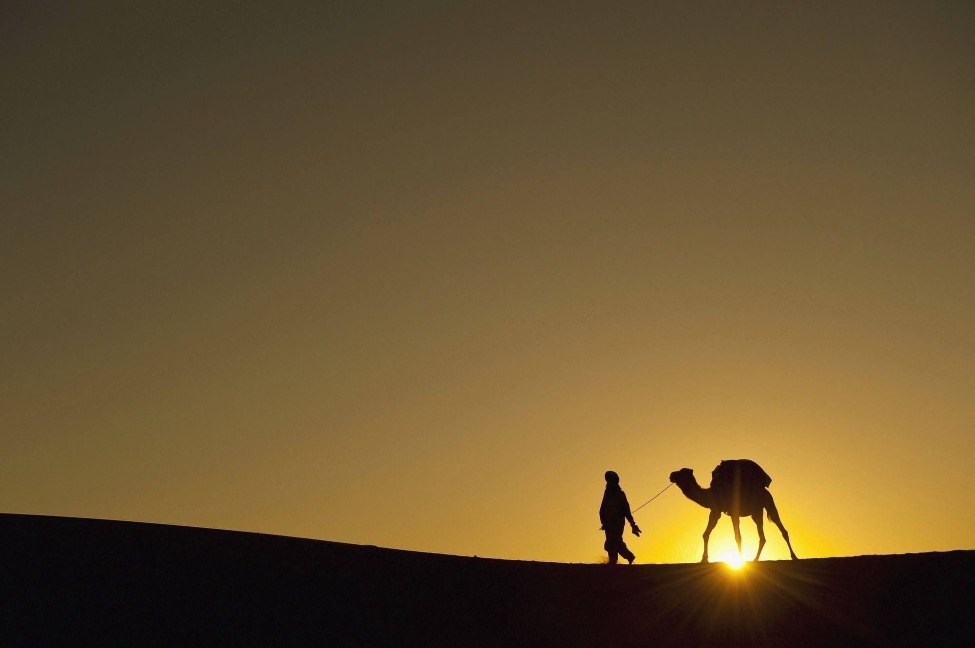 Merzouga Morocco Canvas Art - Ian Cumming Design Pics (38 x 24)