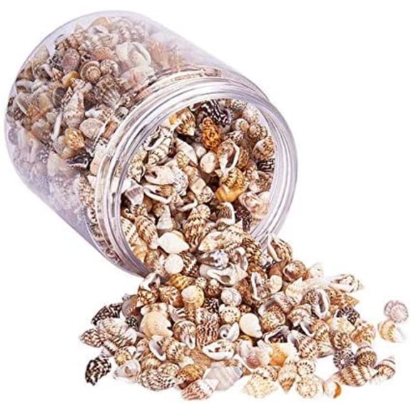 MesaSe 1300 Pcs Small Sea Shell Ocean for Crafts Beach Spiral Seashells, Home Decoration, Beach Theme Party Wedding Decor, Fish Tank Vase Fille