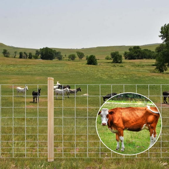 Mescukay 4 x 164 FT Heavy Zinc Coated Farm Fence, Galvanized Livestock Fencing for Goats, Cattle, Hogs, Gradient Mesh Design Stops Rabbits, Dogs, Portable Field Protection