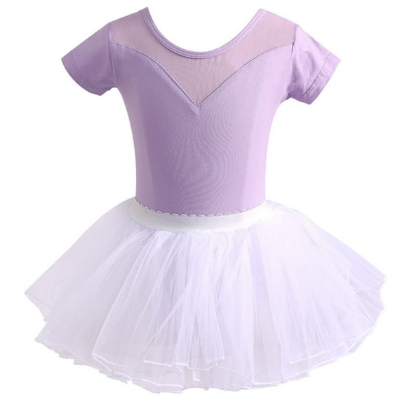 Mesh Ballet Dance Dress Leotards with Tutu Skirts for Girls Toddler Dance Costumes Outfit for Kids 3-18 Years