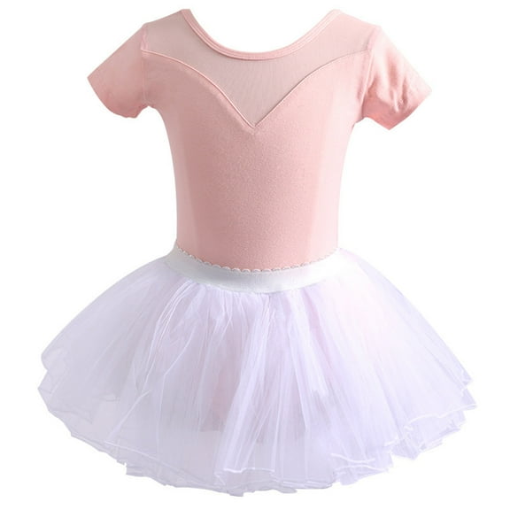 Mesh Ballet Dance Dress Leotards with Tutu Skirts for Girls Toddler Dance Costumes Outfit for Kids 3-18 Years
