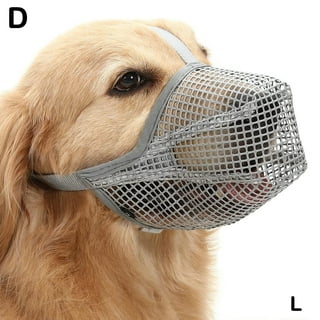 Muzzle to top stop dog eating