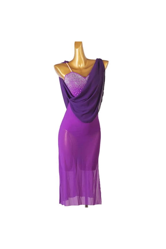 Mesh Latin Performance Dress Ballroom Dance Costume For Cha Cha, Rumba, Samba Professional Competition Skirt