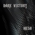 thumbnail image 1 of Mesh, 1 of 1