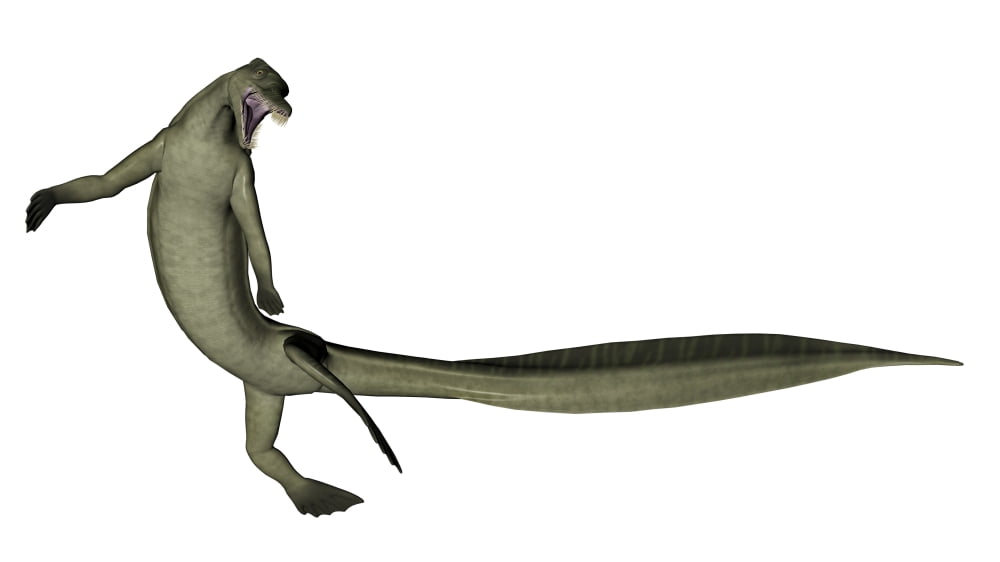 Mesosaurus dinosaur Canvas Art - Elena DuvernayStocktrek Images (19 x 11)