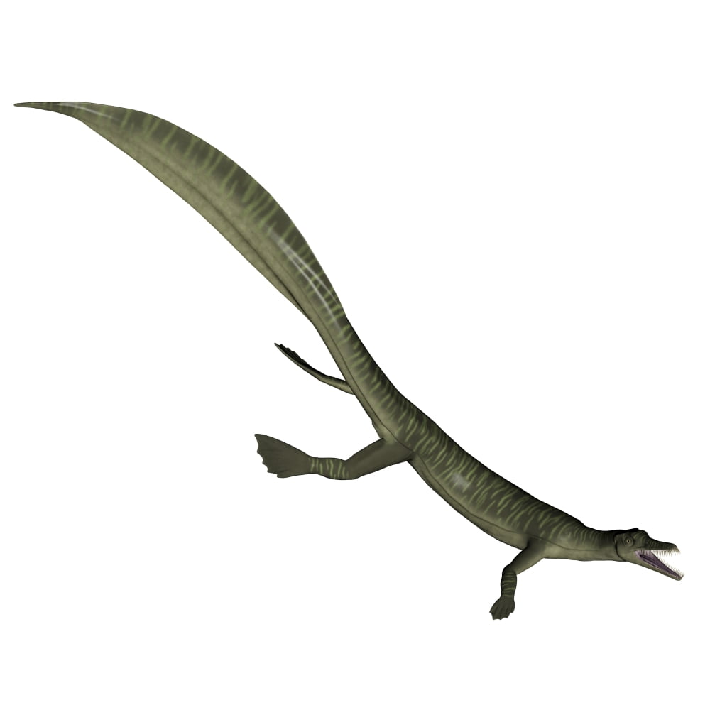 Mesosaurus dinosaur Canvas Art - Elena DuvernayStocktrek Images (29 x 29)