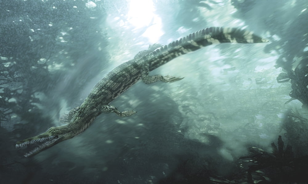 Mesosaurus hunting for food underwater Canvas Art - Jan SovakStocktrek Images (18 x 11)