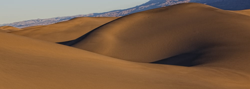 Mesquite Sand Dunes Death Valley National Park California Canvas Art - Robert Postma Design Pics (23 x 8)