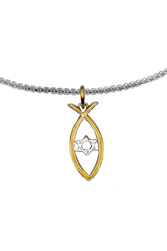 Messianic Christian Fish In 1KT Goldtone, Silver Star Of David Silver Box Chain Necklace. If you do not believe that this jewelry is beautiful when you receive it, simply return it for a full refund.