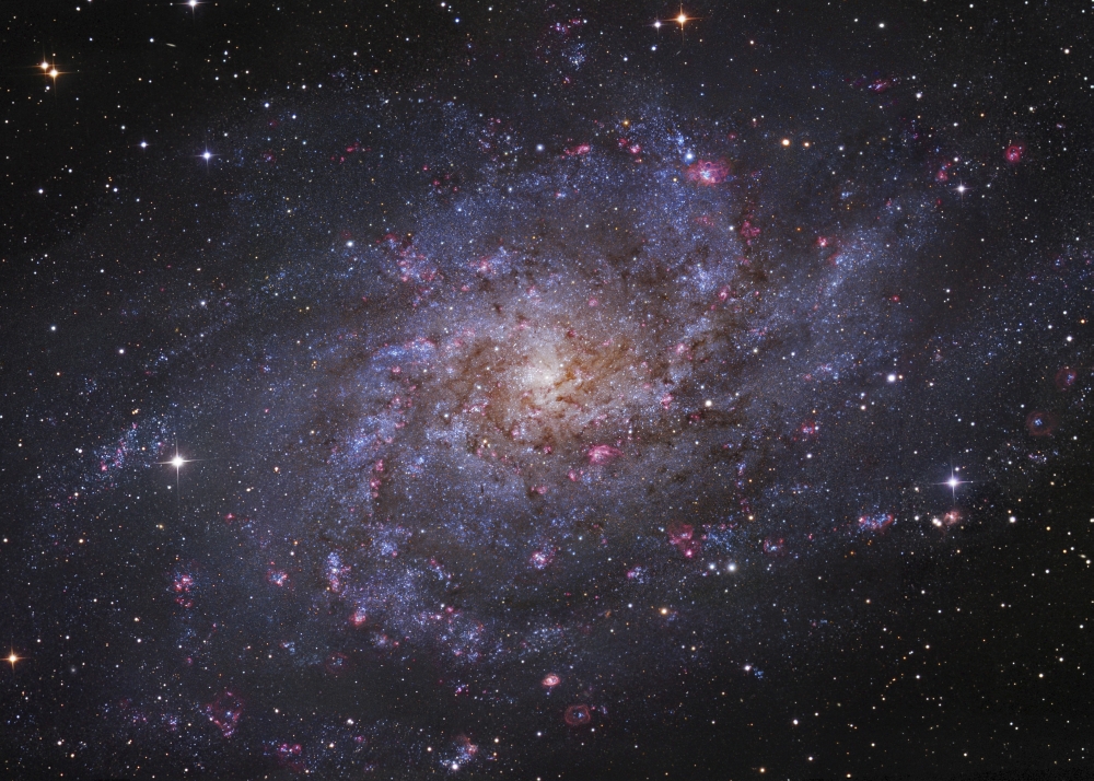 Messier 33 spiral galaxy in Triangulum Canvas Art - Robert GendlerStocktrek Images (17 x 12)