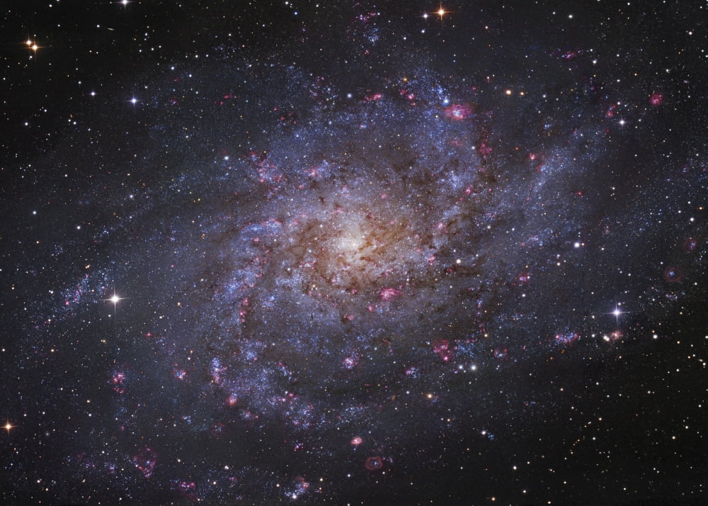 Messier 33 spiral galaxy in Triangulum Canvas Art - Robert GendlerStocktrek Images (34 x 24)