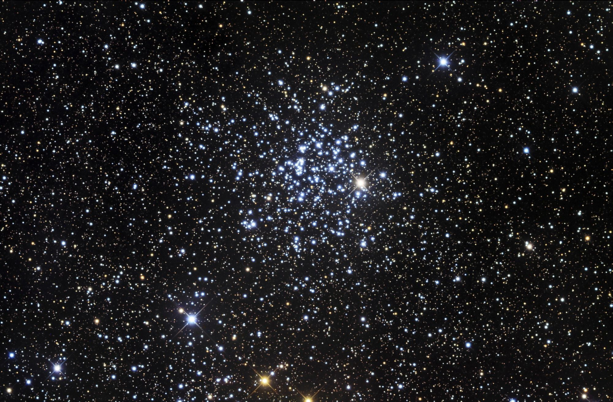 Messier 52 also known as NGC 7654 is an open cluster in the Cassiopeia constellation Canvas Art - Robert GendlerStocktrek Images (34 x 23)