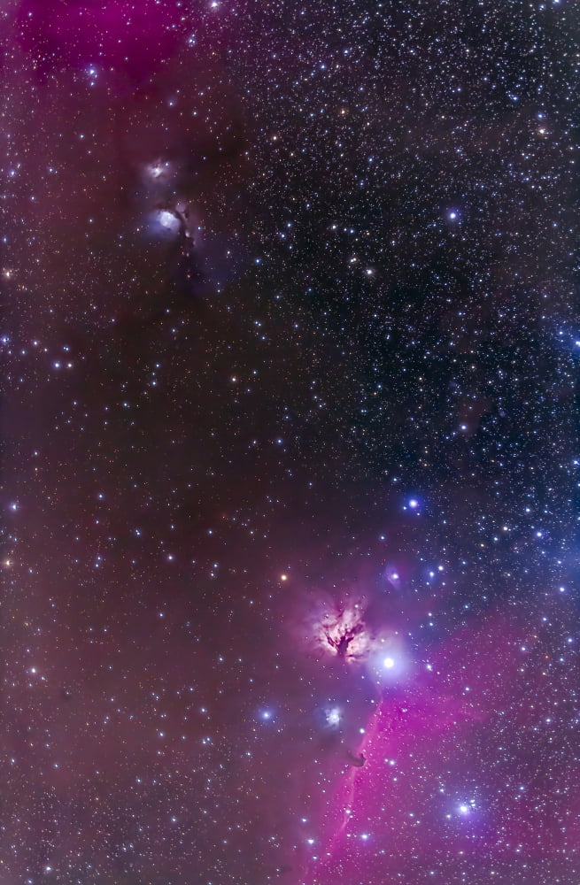 Messier 78 & Horsehead Nebula in Orion Canvas Art - Alan DyerStocktrek Images (23 x 34)