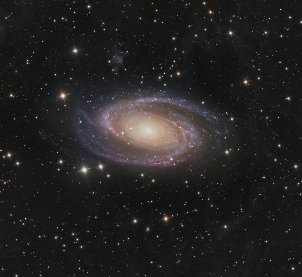 Messier 81 spiral galaxy in the constellation Ursa Major Canvas Art - Bob FeraStocktrek Images (30 x 27)