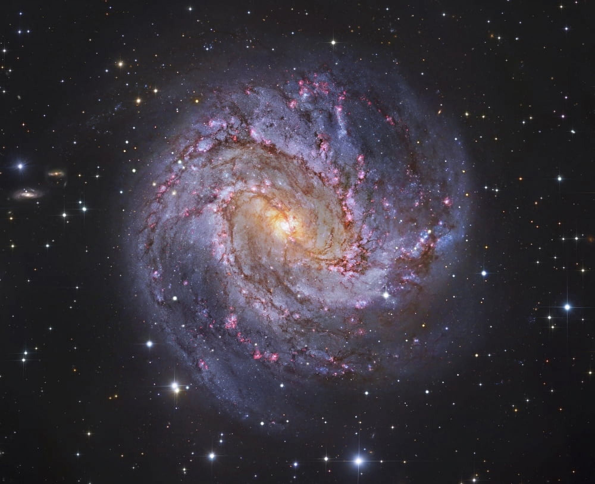 Messier 83 the Southern Pinwheel Galaxy Canvas Art - Robert GendlerStocktrek Images (32 x 26)