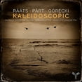 thumbnail image 1 of Messina,Patrick / Demarquette,Henri - Kaleidoscopic - Music & Performance - CD, 1 of 1