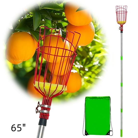 Fruit Picker with Pole Basket Apple Picker Telescoping Long Handle Adjustable Gardening Yard Tool 35-65 Inch