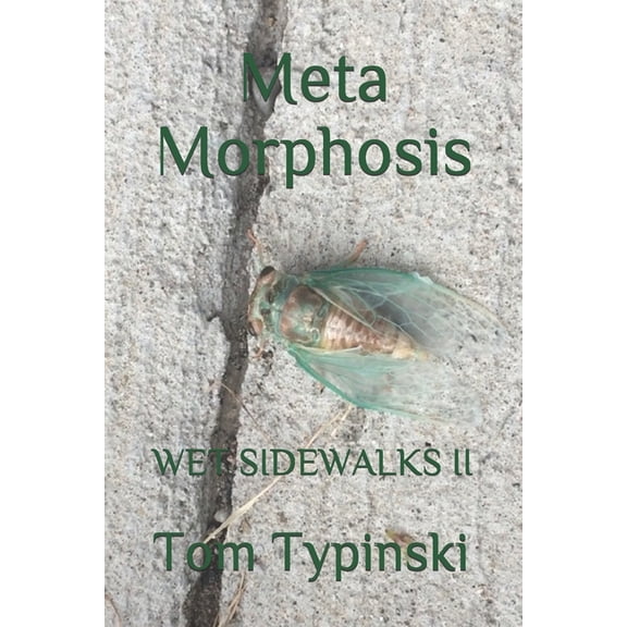 Twenty Two: Meta Morphosis: Wet Sidewalks Two (Paperback)