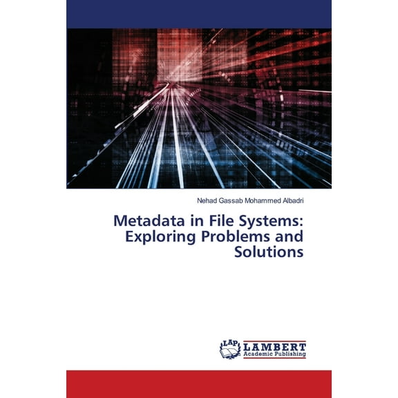 Metadata in File Systems: Exploring Problems and Solutions (Paperback)