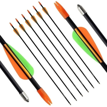 Runzkzy Metal Arrows 29 inch 6/12PCS Hunting Arrows for Bow Compound Recurve and Traditional Bows