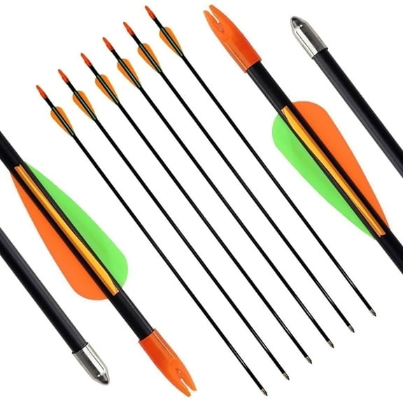 Runzkzy Metal Arrows 29 Inch 6/12PCS Hunting Arrows for Compound, Recurve, and Traditional Bows