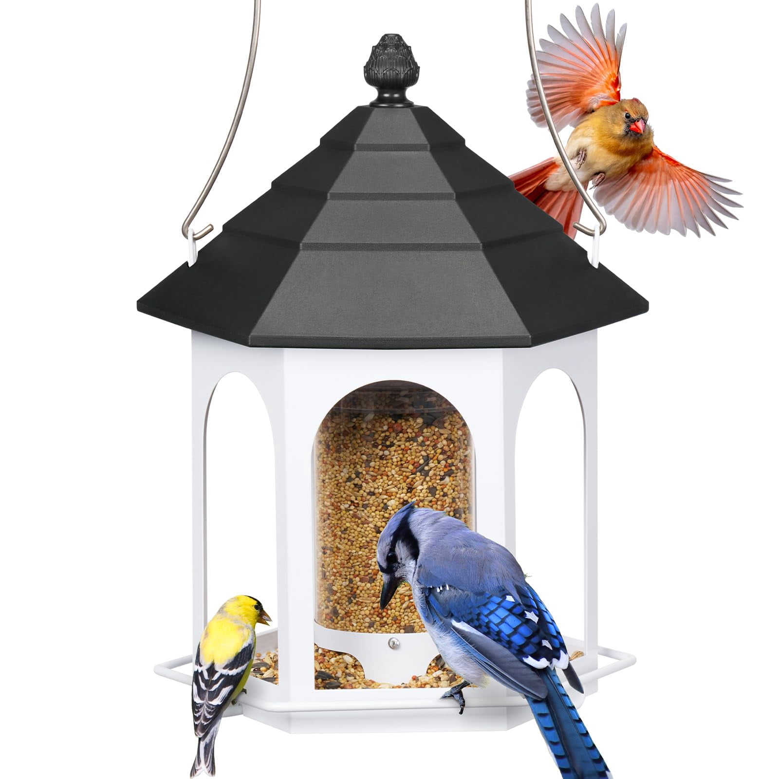 Metal Bird Feeder for Outdoors Hanging, 3 lbs Seed Feeder, Wild Bird Feeders for Garden Cardinal Finch Bluebird, Easy to Fill & Clean