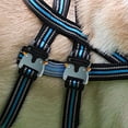 thumbnail image 1 of Metal Buckles Clips Luggage Buckle Strap Release Adjustable Metal Clips Sturdy Dog Collar Buckle Metal Buckles for Strap, 1 of 3