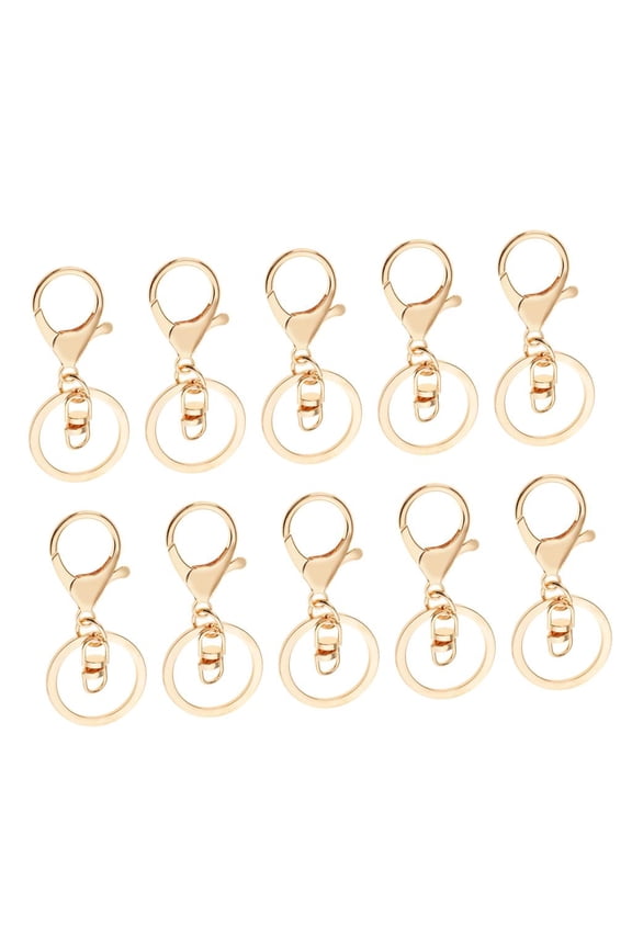 Metal Carabiner Clip Key Keychain Key Chain Holder Organizer for Car/Key , 10 Pcs - Gold, with 8 shape buckle