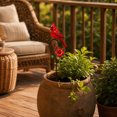thumbnail image 1 of Metal Cardinal Garden Stake, Decorative Red Bird Yard Art Weather Resistant Garden Accent Ornament, Flower Pot Patio Lawn Decor for Garden Courtyard Porch Bird Lovers, 1 of 7