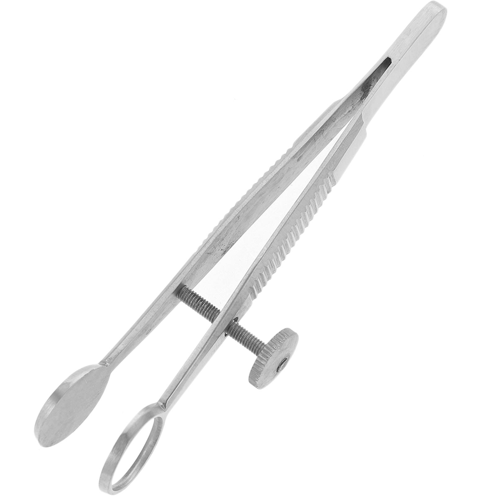 Metal Chalazion Forcep Stainless Steel Meibomian Gland Forceps Clip