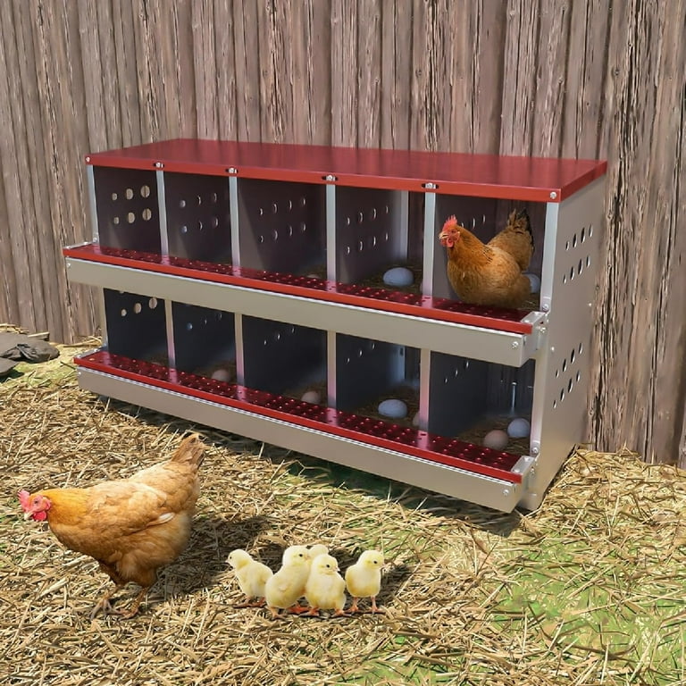 Nest Boxes For Chickens 6-Compartment Galvanized Steel Chicken Nesting ...