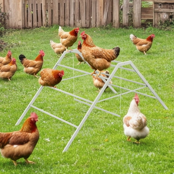 Metal Chicken Perch with Swing & Ladder - Heavy Duty Roosting Bar Gym for 10-12 Chickens, Grey