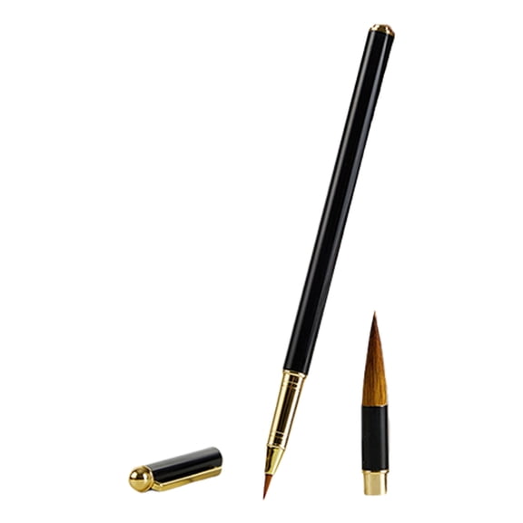 Metal Chinese Calligraphy Brush Pen with Inks Converter and 4 Inks Cartridges for Regular Script Practice Art Drawing