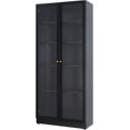 Metal Curio with Glass Doors 2 Door 31.5 Wide Large