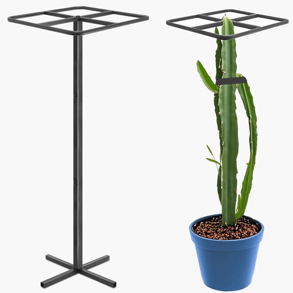 Metal Dragon Fruit TrellisAdjustable Dragon Fruit Plant Trellis for Vertical Gardening and Climbing Plants Trees Cactus Garden Outdoor Indoor Potted Support Black