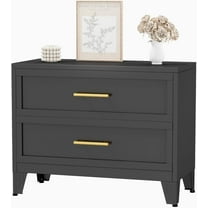 Metal Dresser for Bedroom 2 Drawers Dresser Metal Storage Dressers Organizer,24.8" H Black Drawer Chest, Closet Organizers for Living Room, Hallway, Closet